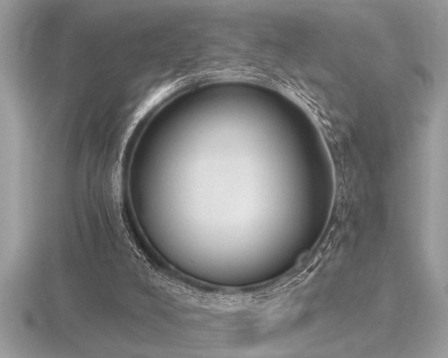 X0000116510008200912091458
