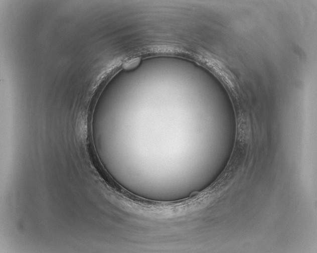 X0000116510015200912091458