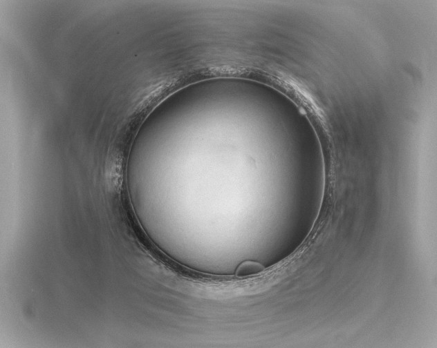 X0000116510017200912091458