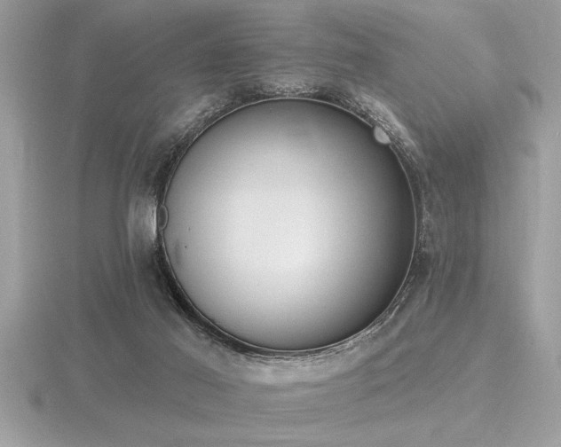 X0000116510021200912091458