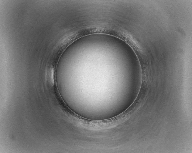 X0000116510022200912091458