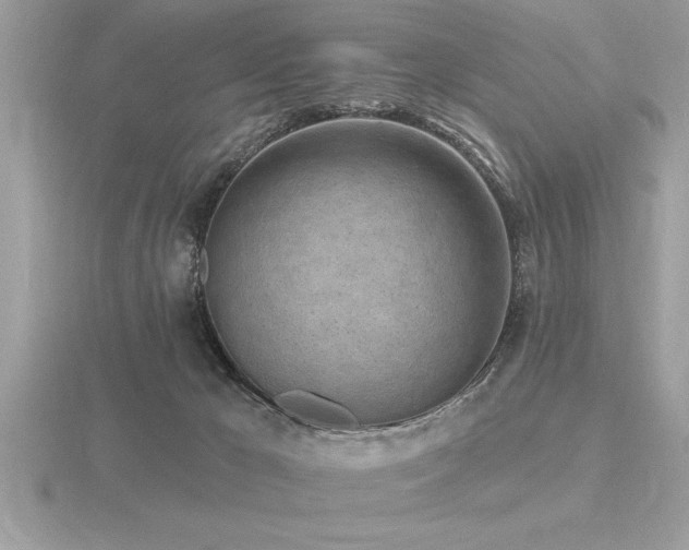 X0000116510029200912091458