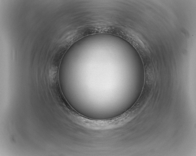 X0000116510034200912091458