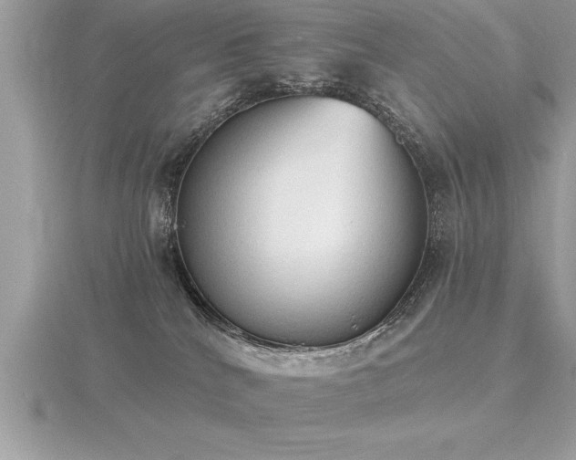X0000116510040200912091458
