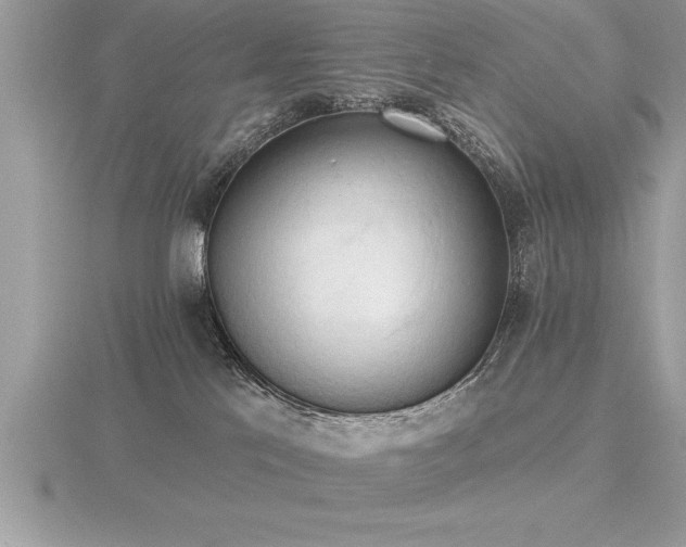 X0000116510041200912091458