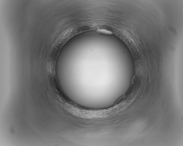 X0000116510044200912091458