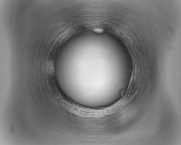 X0000116510048200912091458