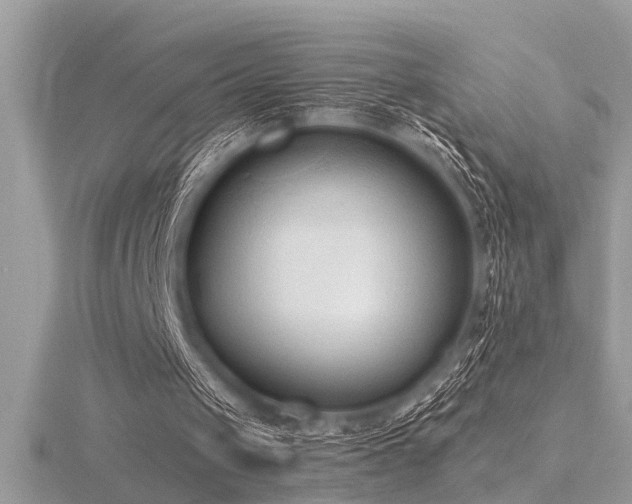 X0000116510049200912091457