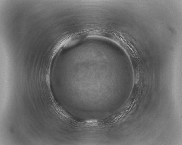 X0000116510052200912091457