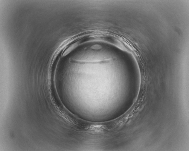 X0000116510055200912091457