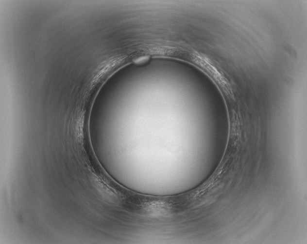X0000116510058200912091457