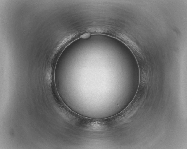 X0000116510064200912091457