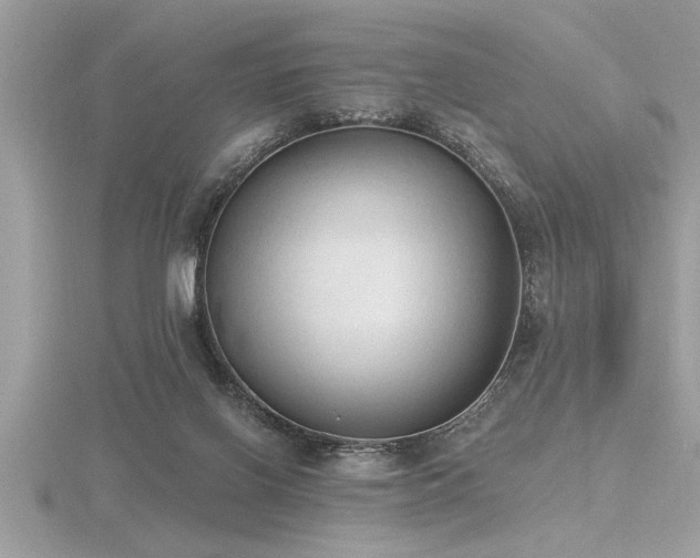 X0000116510070200912091457