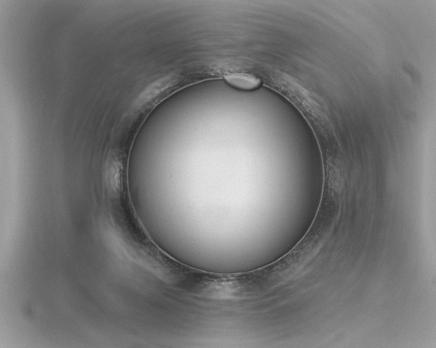 X0000116510071200912091457