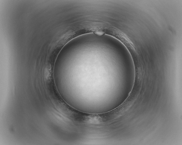 X0000116510073200912091457