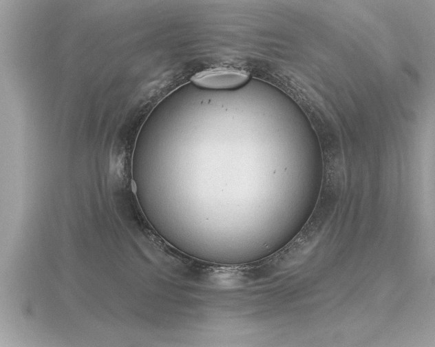 X0000116510088200912091457
