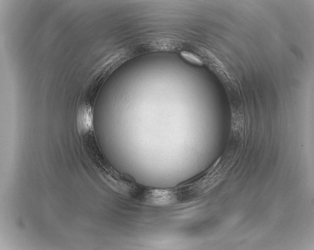 X0000116510095200912091458