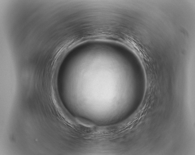 X0000116510097200912091457