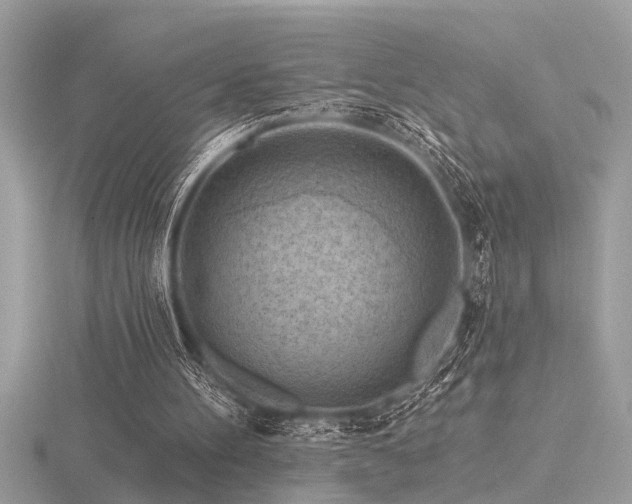 X0000116510100200912091457