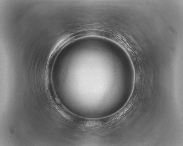 X0000116510101200912091457