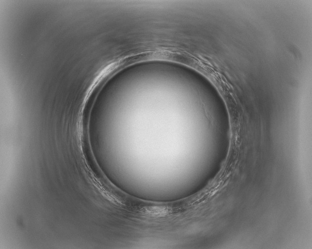 X0000116510102200912091457