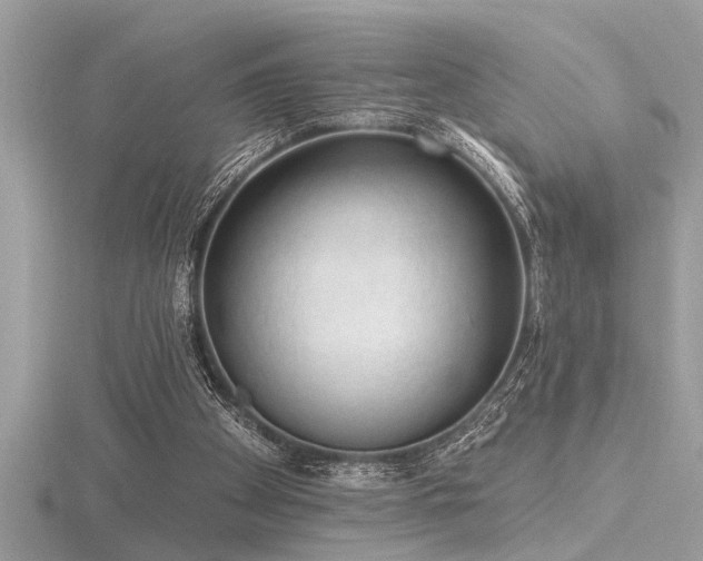 X0000116510105200912091457