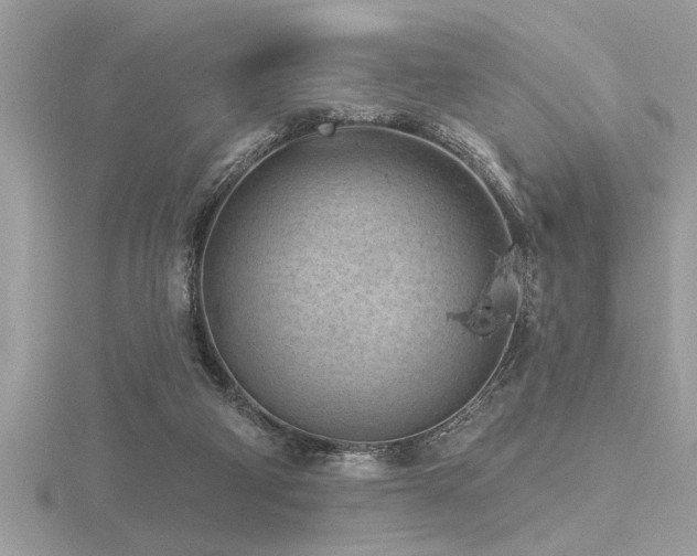 X0000116510114200912091457