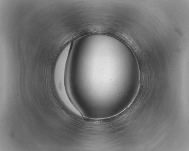 X0000116510117200912091457