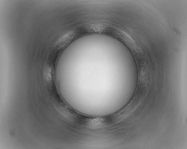 X0000116510122200912091457