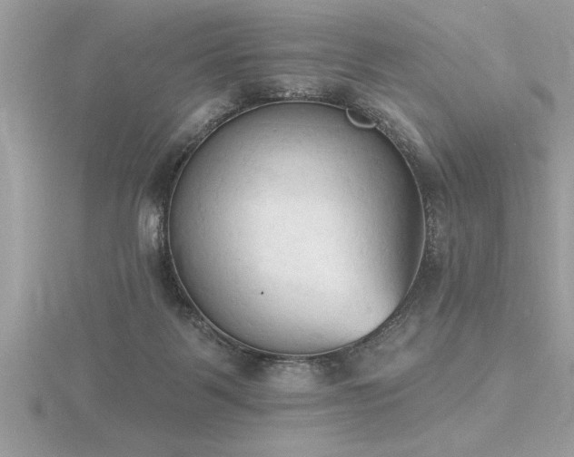 X0000116510123200912091457