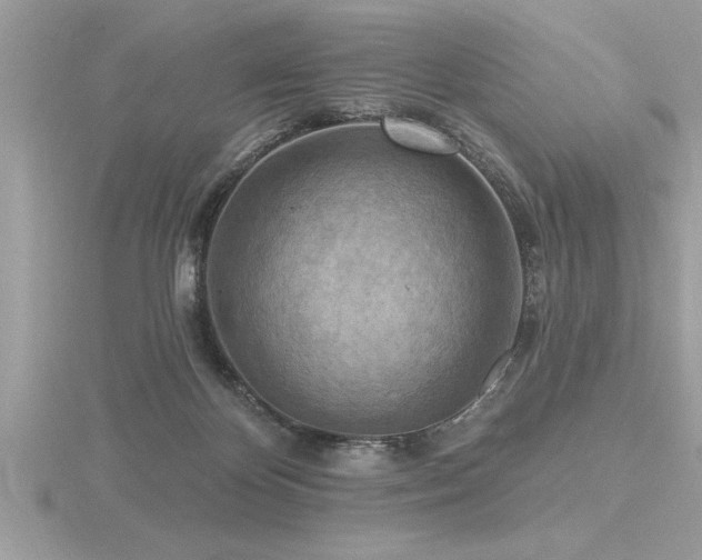 X0000116510124200912091457