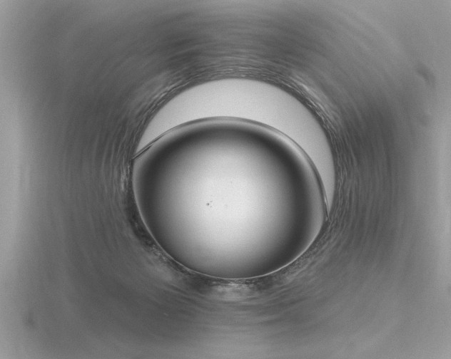 X0000116510125200912091457