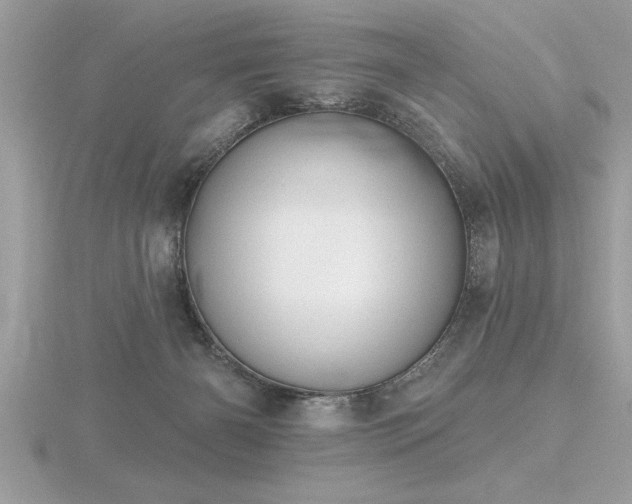 X0000116510126200912091457