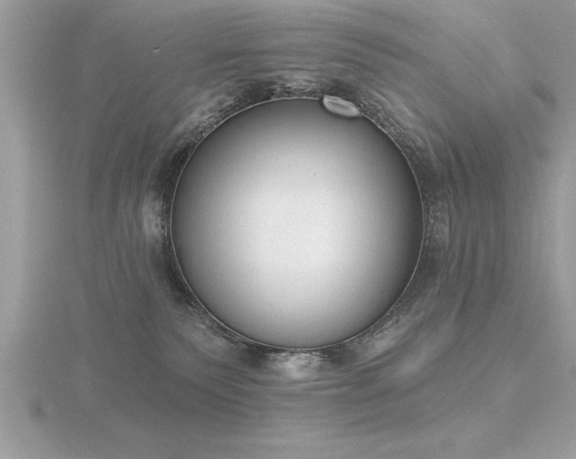 X0000116510135200912091456