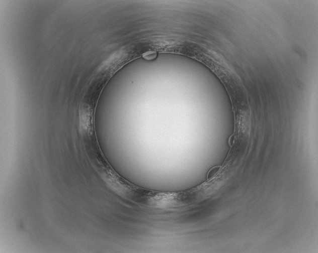 X0000116510138200912091456