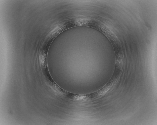 X0000116510139200912091456