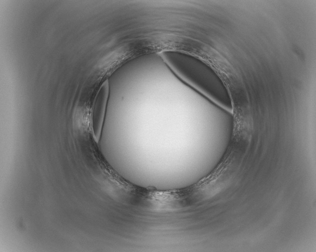 X0000116510141200912091456