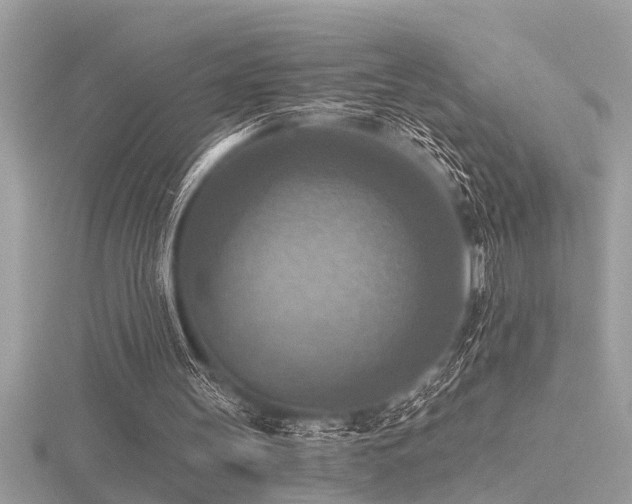 X0000116510147200912091456