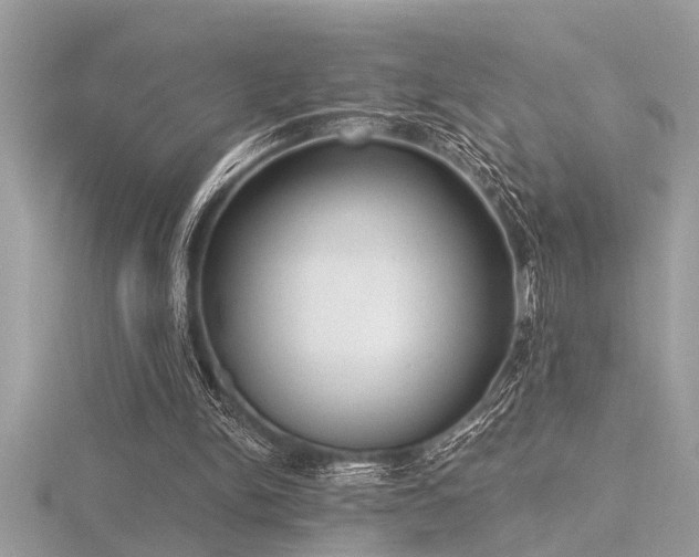 X0000116510150200912091456