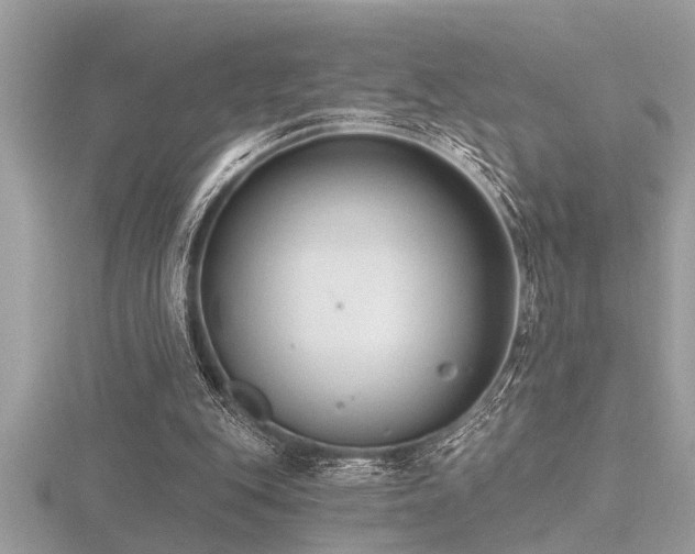 X0000116510151200912091456