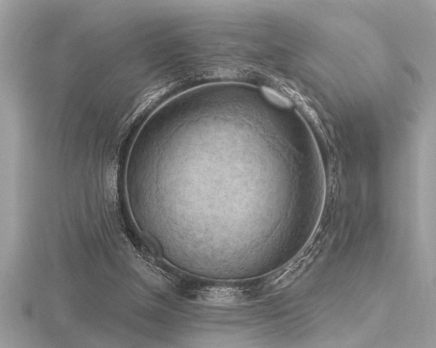 X0000116510154200912091456