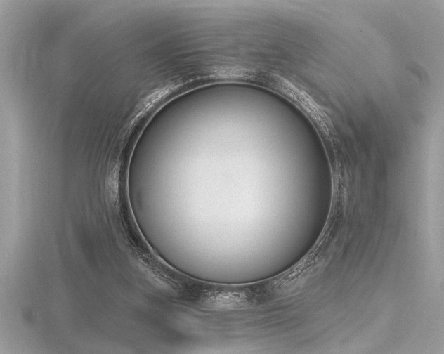 X0000116510155200912091456