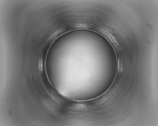 X0000116510157200912091456