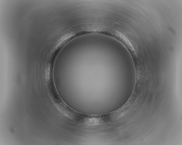 X0000116510163200912091456