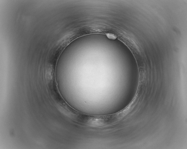 X0000116510174200912091456