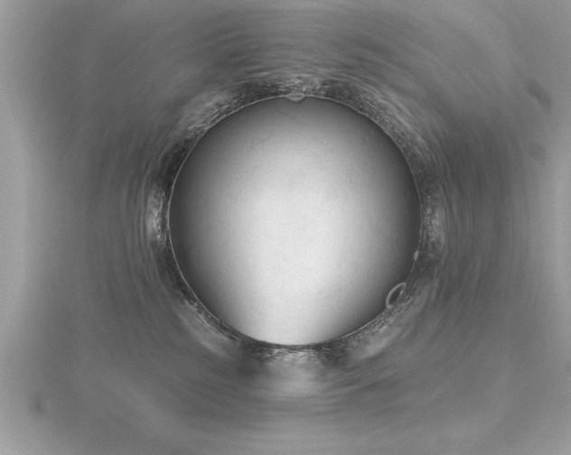 X0000116510185200912091456
