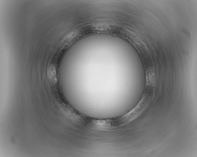 X0000116510187200912091456