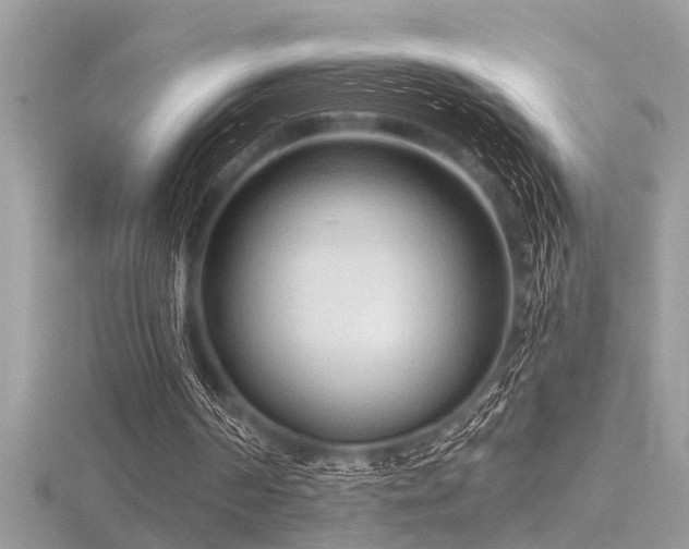 X0000116510194200912091456