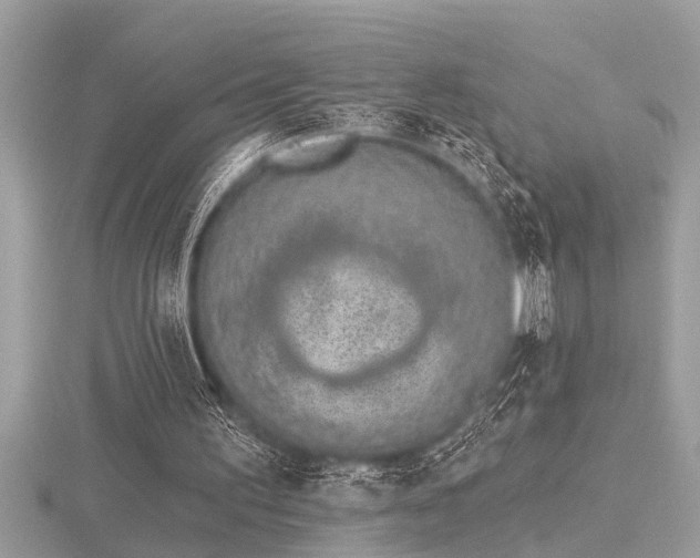 X0000116510195200912091456