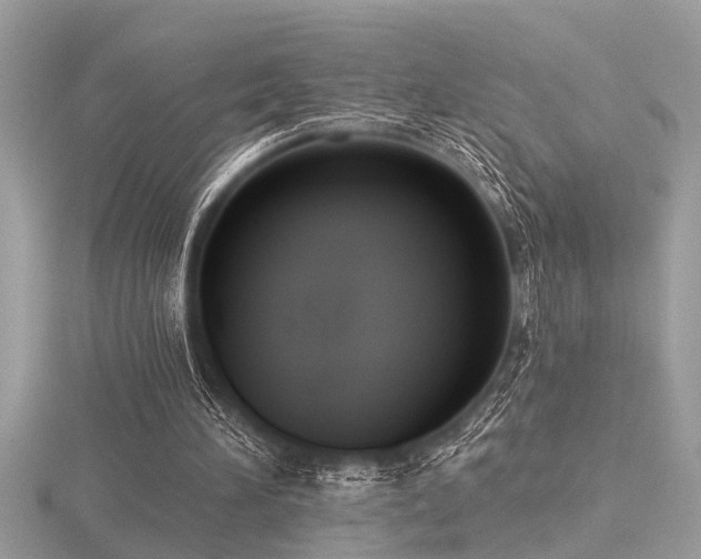 X0000116510196200912091456